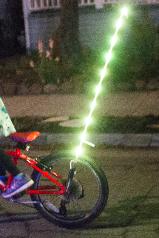 Bike light mount