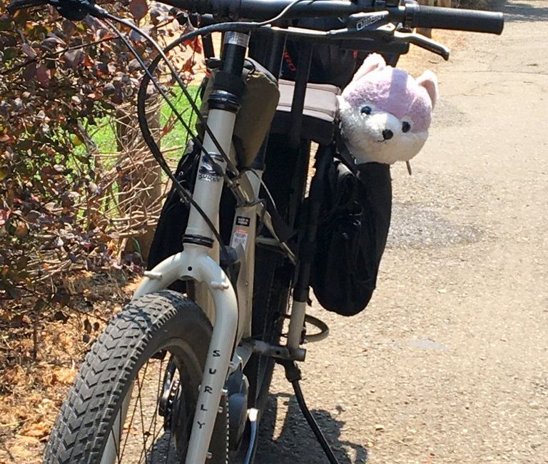 Stuffed animal poking its head out of a bike pannier
