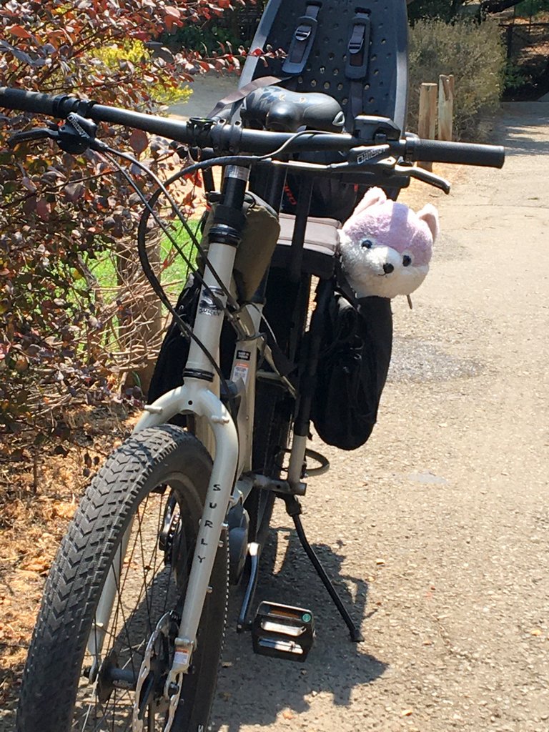 Stuffed animal poking its head out of a bike pannier on a Surly Big Easy electric cargo bike