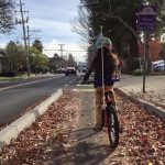 Fantastic Berkeley Bike Lanes: Riding on Milvia Street on a Sunny Day