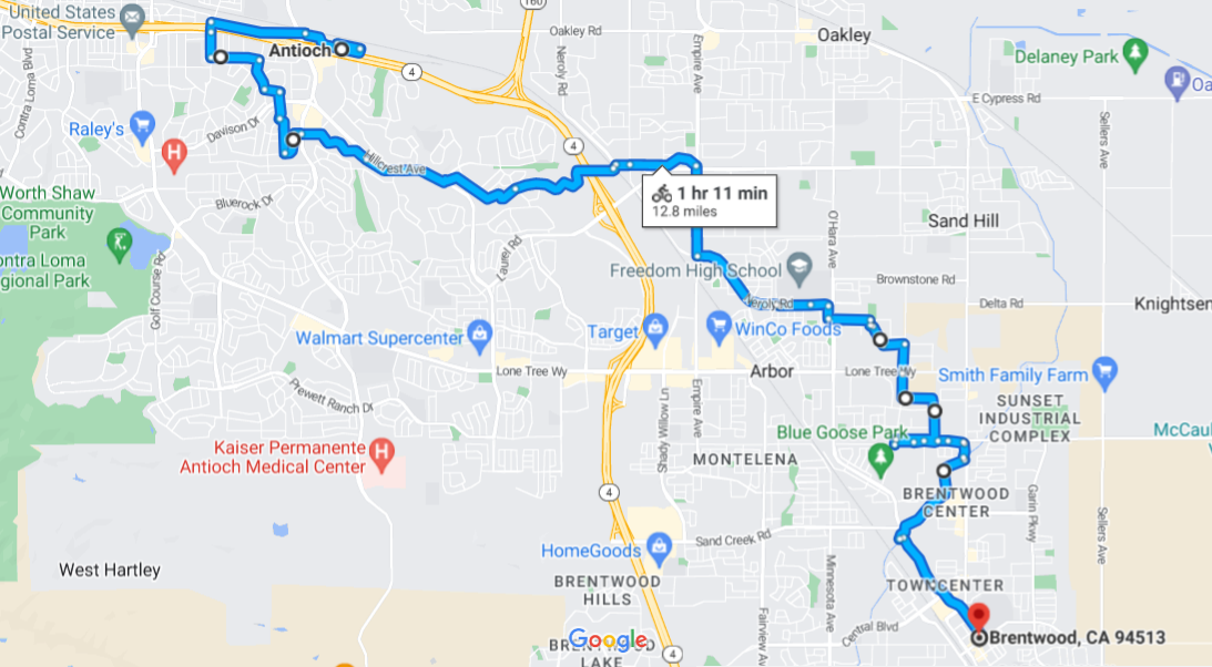 UPick Cherry Picking by Bike in Brentwood (2023) ASCENTALE