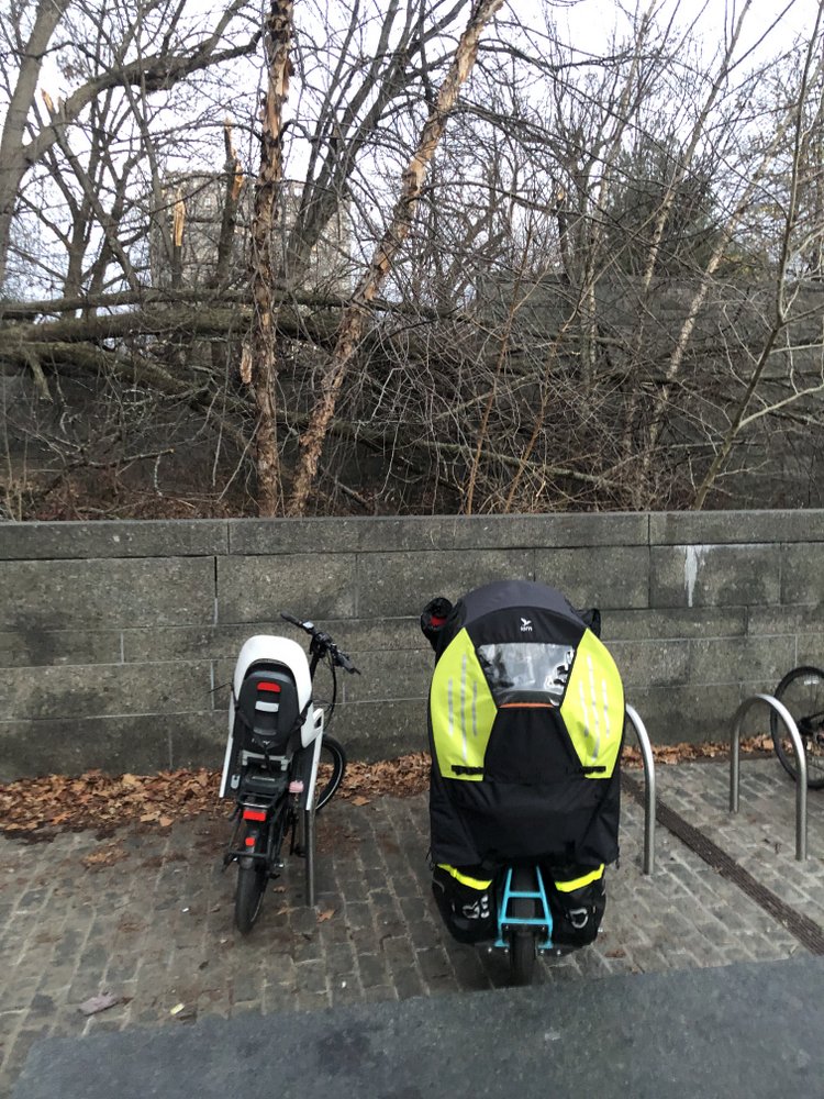 Two cargo bikes parked at a bike rack in Prospect Park