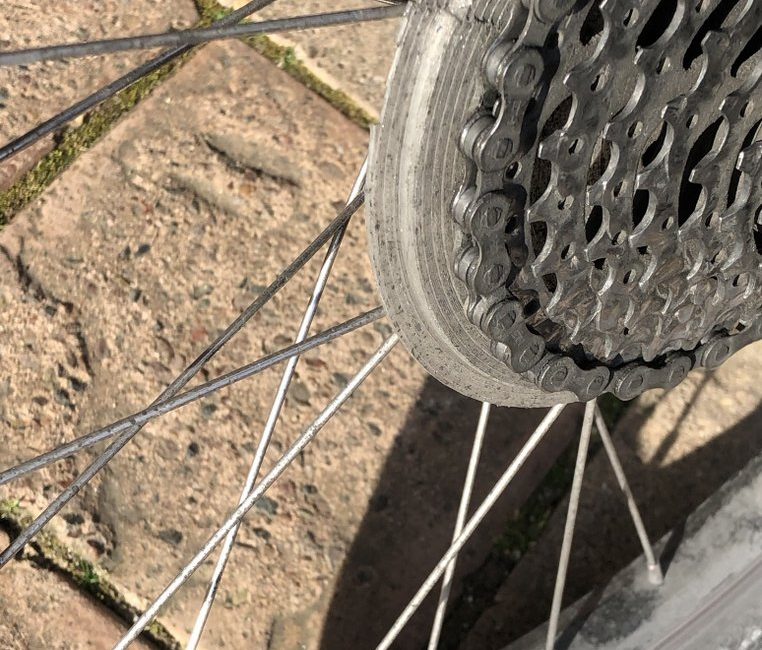 A spoke guard / spoke cover for a rear bicycle wheel. 3D printed. Photo also shows a cassette and chain and spokes of the wheel.