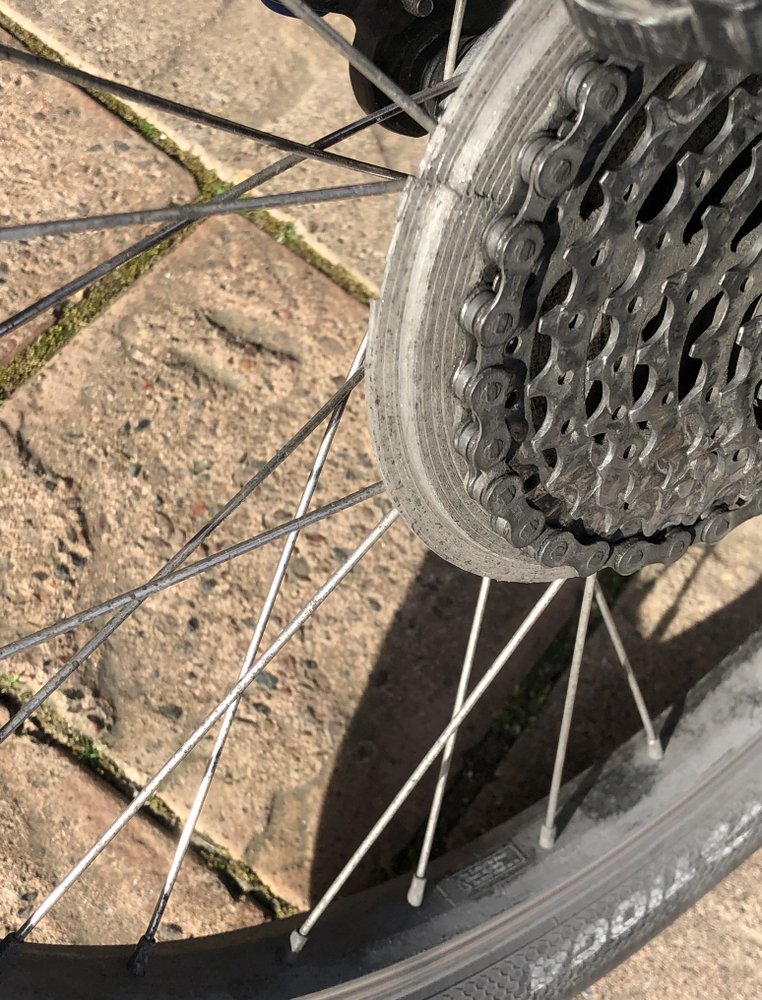 A spoke guard / spoke cover for a rear bicycle wheel. 3D printed. Photo also shows a cassette and chain and spokes of the wheel.