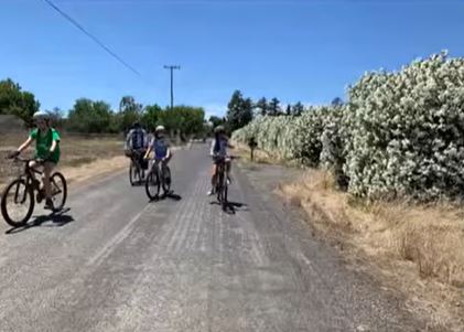 People biking on a worn down road with oleander plants lining the way blue sky