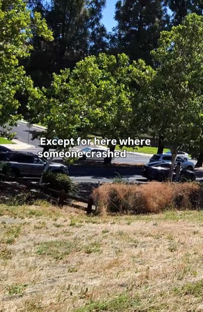 Aftermath of a car crash on Hillcrest Ave